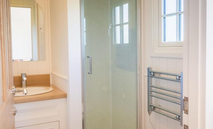 Sink, shower and heated towel rail